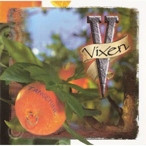 Download track Never Say Never Vixen