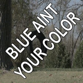Download track Blue Ain't Your Color - Tribute To Keith Urban Billboard Masters