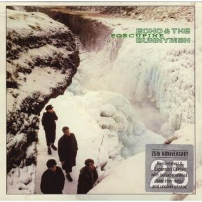Download track The Cutter (Alternate Version) Echo & The Bunnymen