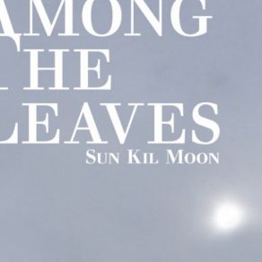 Download track I Know It'S Pathetic But That Was The Greatest Night Of My Life Sun Kil Moon