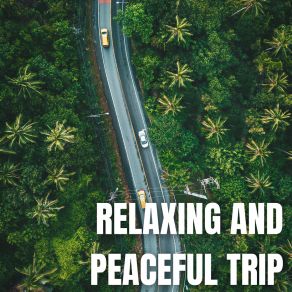 Download track Relaxing Vibes The Relaxing Booth