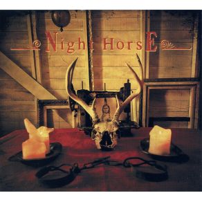 Download track Don'T Need Your Lovin' Night Horse, Sam James