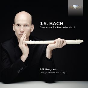 Download track Adagio In B Minor, BWV 249 2, Easter Oratorio Erik Bosgraaf