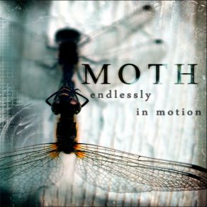 Download track The Structure Moth