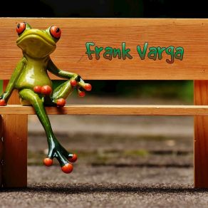 Download track Soul Vibration Frank Varga