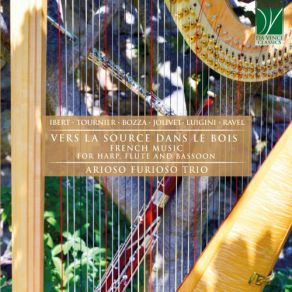 Download track Sonatine In F-Sharp Minor, M. 40: I. Moderè Francesca Tirale, Francesco Fontolan, Arioso Furioso Trio, Massimiliano Pezzotti