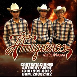 Download track Me Gustas Mucho Los Amigueros De La Sierra