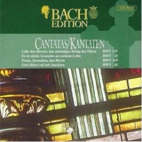 Download track Lobe Den Herren, Den Mächtigen König Der Ehren BWV 137 - II Aria (Alto) Johann Sebastian Bach