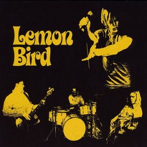 Download track Grab A Star Lemon Bird