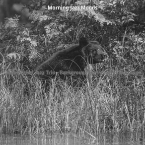 Download track Dashing Music For Morning Routines Morning Jazz Moods
