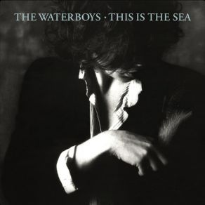 Download track Then You Hold Me - 2004 Remaster The Waterboys