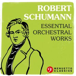 Download track Introduction And Allegro Appassionato In G Major For Piano And Orchestra, Op. 92 The Berlin Symphony Orchestra