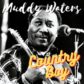 Download track Smokestack Lightin' Muddy Waters