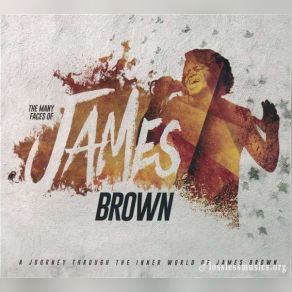 Download track Gonna Have A Funky Good Time James Brown