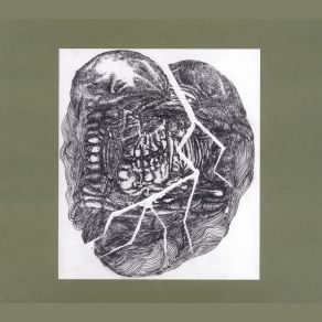 Download track Warning Sign Wolf Eyes