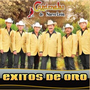 Download track Comprendala Cardenales De Nuevo León