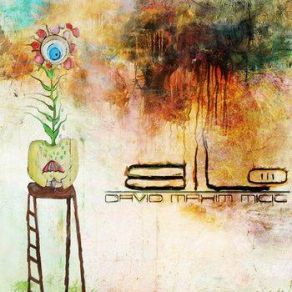 Download track Everything's Fine David Maxim Micic