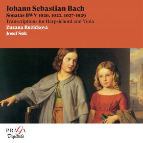 Download track Sonata No. 2 In D Major, BWV 1028: III. Andante Suk Josef, Zuzana Růžičková