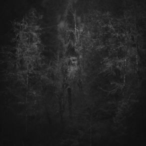 Download track Terminal Lucidity Rafael Anton IrisarriZake