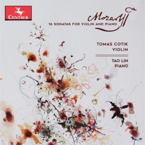 Download track Violin Sonata No. 23 In D Major, K. 306: I. Allegro Con Spirito Tomas Cotik, Tao Lin