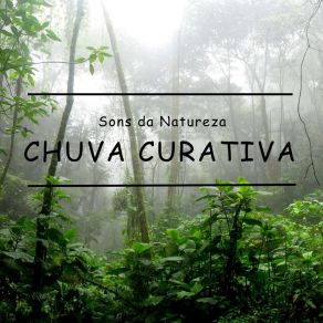 Download track Sons Da Natureza: Chuva Curativa, Pt. 02 Chuva Para Dormir