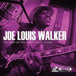 Download track Witness Joe Louis Walker
