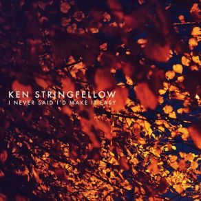 Download track Sparrow Ken Stringfellow