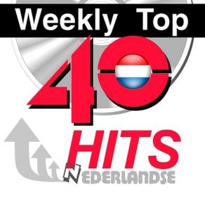 Download track Summerthing! Afrojack, Mike Taylor