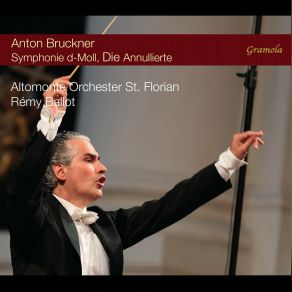Download track Symphony In D Minor, WAB 100