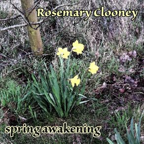 Download track I'm Checkin' Out - Goombye Rosemary Clooney