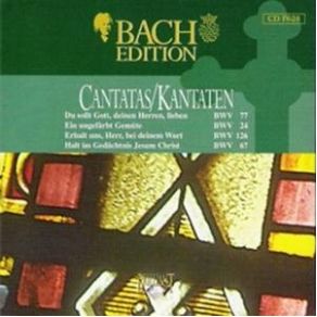 Download track Ein Ungefährt Gemüte BWV 24 - II Recitativo (Tenore) Johann Sebastian Bach