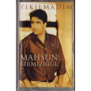 Download track Yıkılmadım