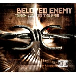 Download track Friendly Fire Peter Pathosy