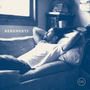 Download track Nice Serengeti