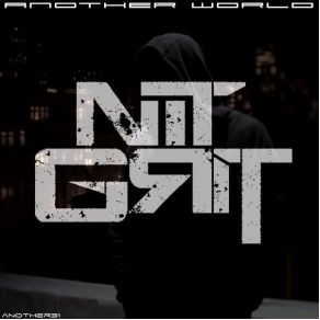 Download track Building Steam With A Grain Of Salt (DJ Shadow Remix) NiT GriTDj Shadow