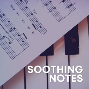 Download track Relaxing In The Bath For Studying