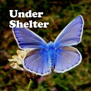 Download track Be Relaxed Recording Nature