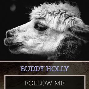 Download track Don't Come Back Knocking Buddy Holly