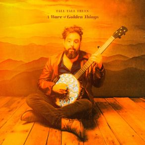 Download track A Number Of Signs Tall Tall Trees