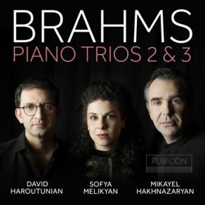 Download track Piano Trio No. 3 In C Minor, Op. 101 IV. Finale. Allegro Molto David Haroutunian, Mikayel Hakhnazaryan, Sofya Malikyan