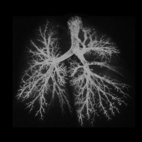 Download track Decomposition A. M. Being