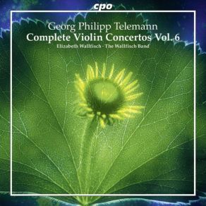 Download track Violin Concerto In A Minor, TWV 51: A1: II. Allegro Elizabeth Wallfisch, Wallfisch Band