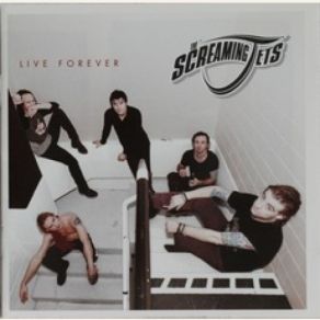 Download track Tunnel The Screaming Jets