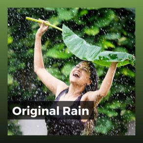 Download track Into A Drain Recording Nature