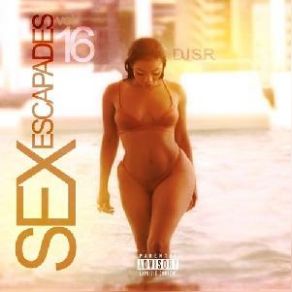 Download track Shape Of You (Remix) Dj S. R.The Wale
