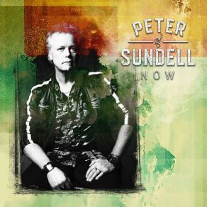 Download track Don't Want To Wait Anymore Peter Sundell