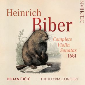 Download track Sonatæ Violino Solo 