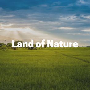 Download track When Does A Rainbow Occur In Nature Nature Soundscapes