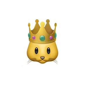 Download track Bull$ Hit Catboot