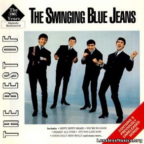 Download track Don't Make Me Over The Swinging Blue Jeans